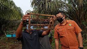 1628138629-RiauBertuah co-download (9)